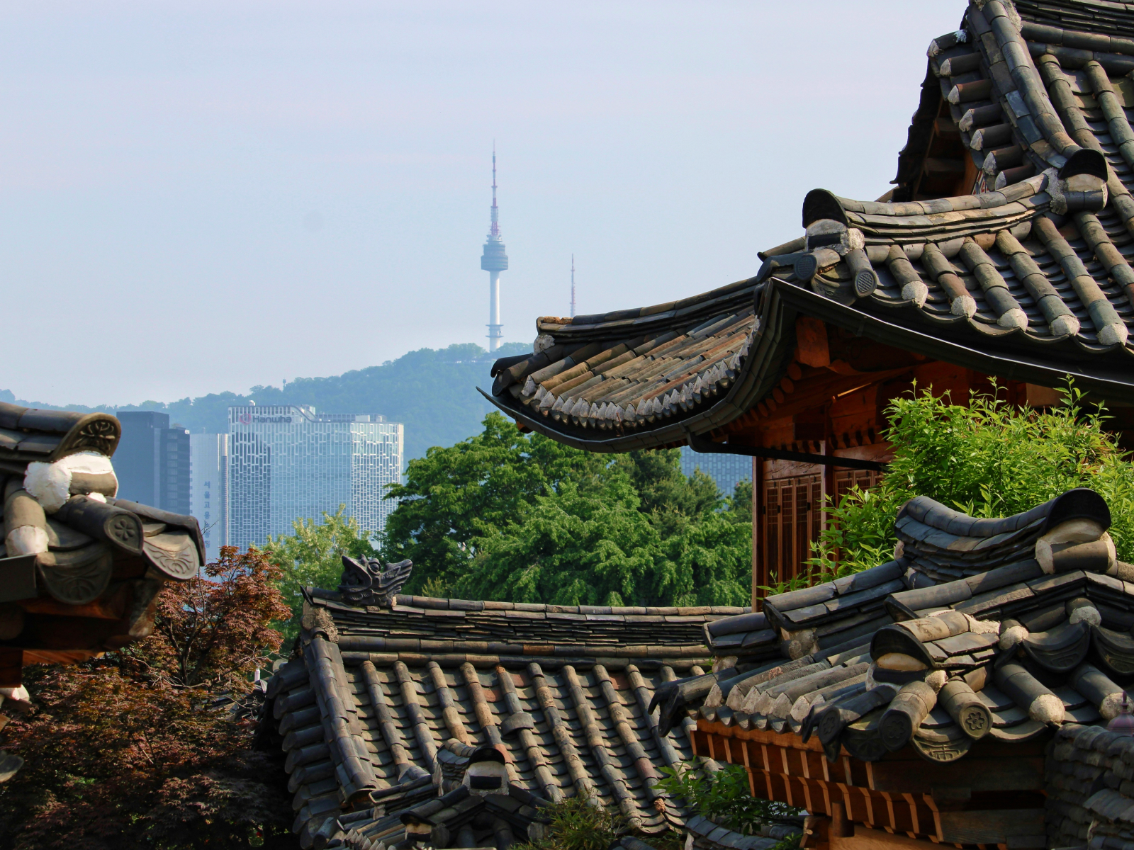 서울
